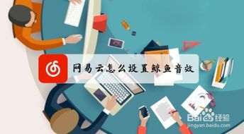 网易云音乐与云直聘的鲸鱼音效设置指引